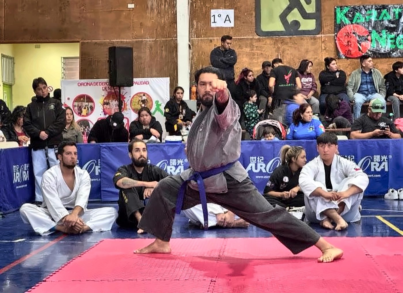 Ejecutando técnica en un torneo