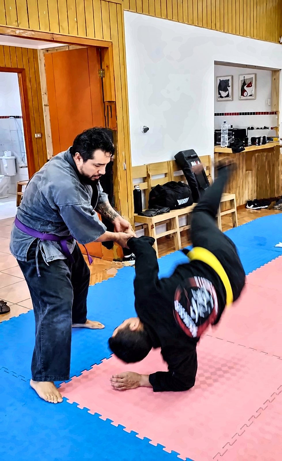 Técnica de proyección en defensa personal